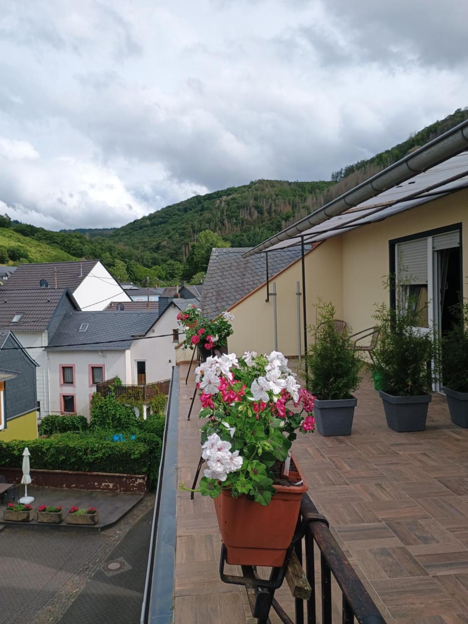 Gasthof Zur Grafschaft Veldenz Luaran gambar