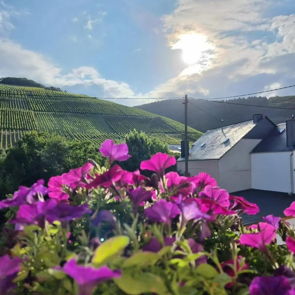 Gasthof Zur Grafschaft Veldenz Luaran gambar